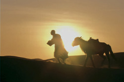 Description: [man walks desert with pack animal as sun blazes from behind]