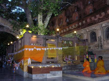 Description: Bodhi Tree in Bodhgaya, India - Night view