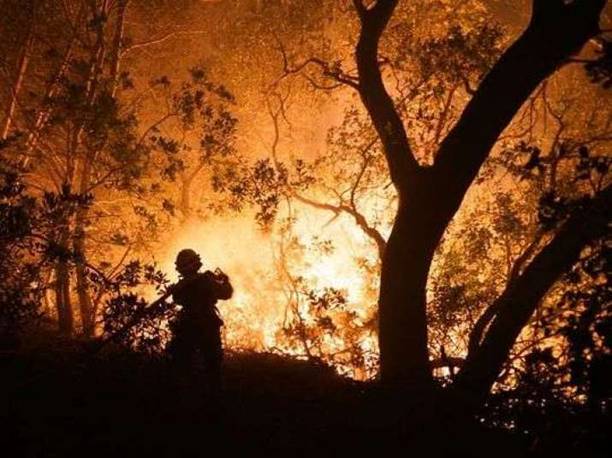 A firefighter sprays down an approaching wildfire in Northern California on 10 October. Photo by Trevor Hughes. From usatoday.com