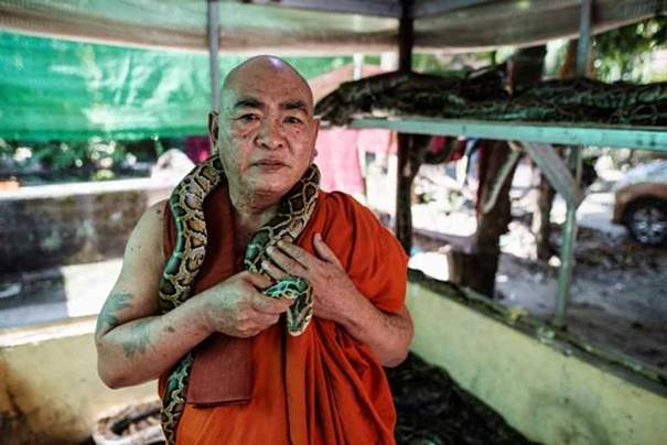 Buddhist monk Wilatha poses with a rescued Burmese python at his monastery that has turned into a snake sanctuary on the outskirts of Yangon, Myanmar.
